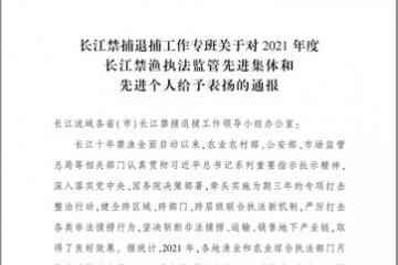 学校受长江禁捕退捕工作专班通报表扬